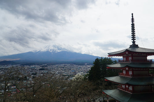 Japans Goldene Route: Zwischen Kirschblüten-Wahnsinn und Keller-Restaurant-Magie