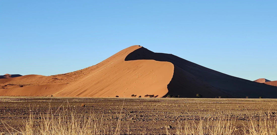 Hohe, rote Sanddüne in Sossusvlei, Namibia, bei tiefstehender Sonne, mit trockenem Wüstengras im Vordergrund.