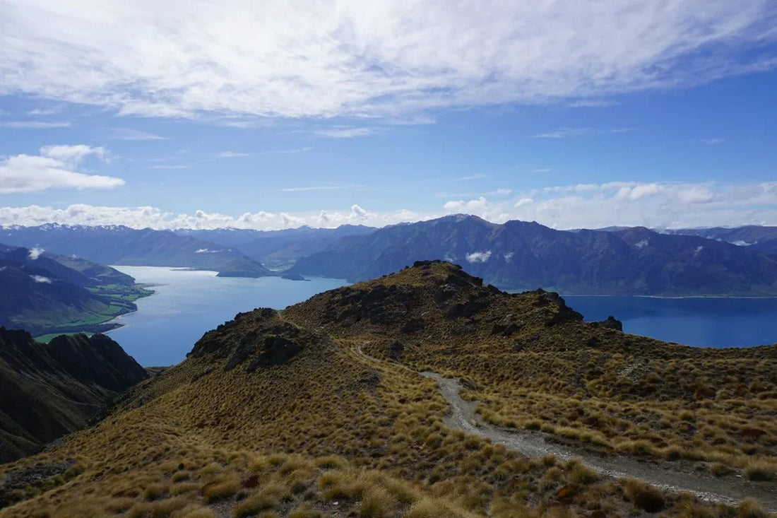 Ein schmaler Wanderweg führt über einen grasbewachsenen Bergkamm und bietet einen weiten Panoramablick auf einen großen blauen See und die umliegenden Berge in Neuseeland.