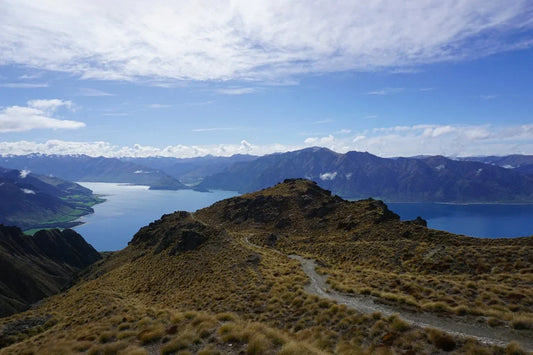 Ein schmaler Wanderweg führt über einen grasbewachsenen Bergkamm und bietet einen weiten Panoramablick auf einen großen blauen See und die umliegenden Berge in Neuseeland.