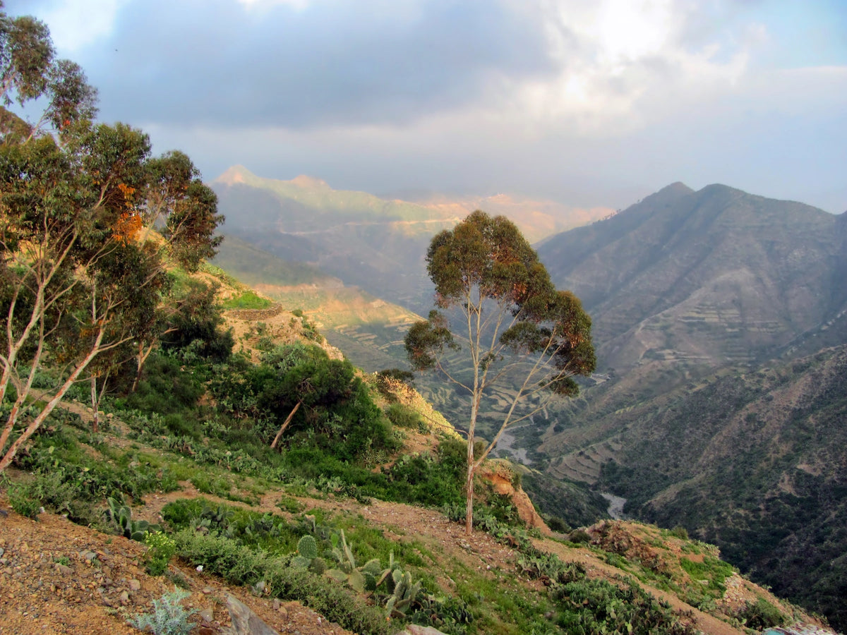 Blick von einem Berggipfel in Eritrea.
