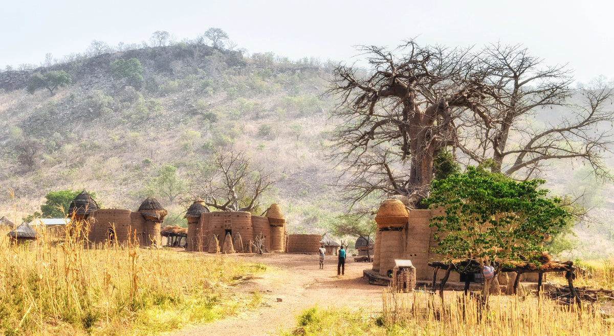 Traditionelle turmartige Lehmhäuser mit Strohdächern (Takientas) im ländlichen Togo, umgeben von trockener Vegetation, einem großen Baobab-Baum und Hügeln im Hintergrund.