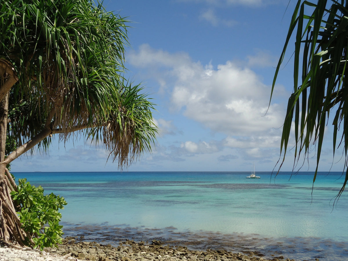 Einheimische Pandanus-Palmen und tropische Vegetation rahmen den Blick auf eine ruhige, türkisblaue Lagune mit einem verankerten Boot am Horizont unter blauem Himmel.