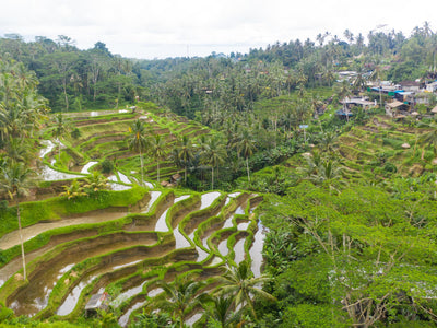 Bali & Nachbarinseln