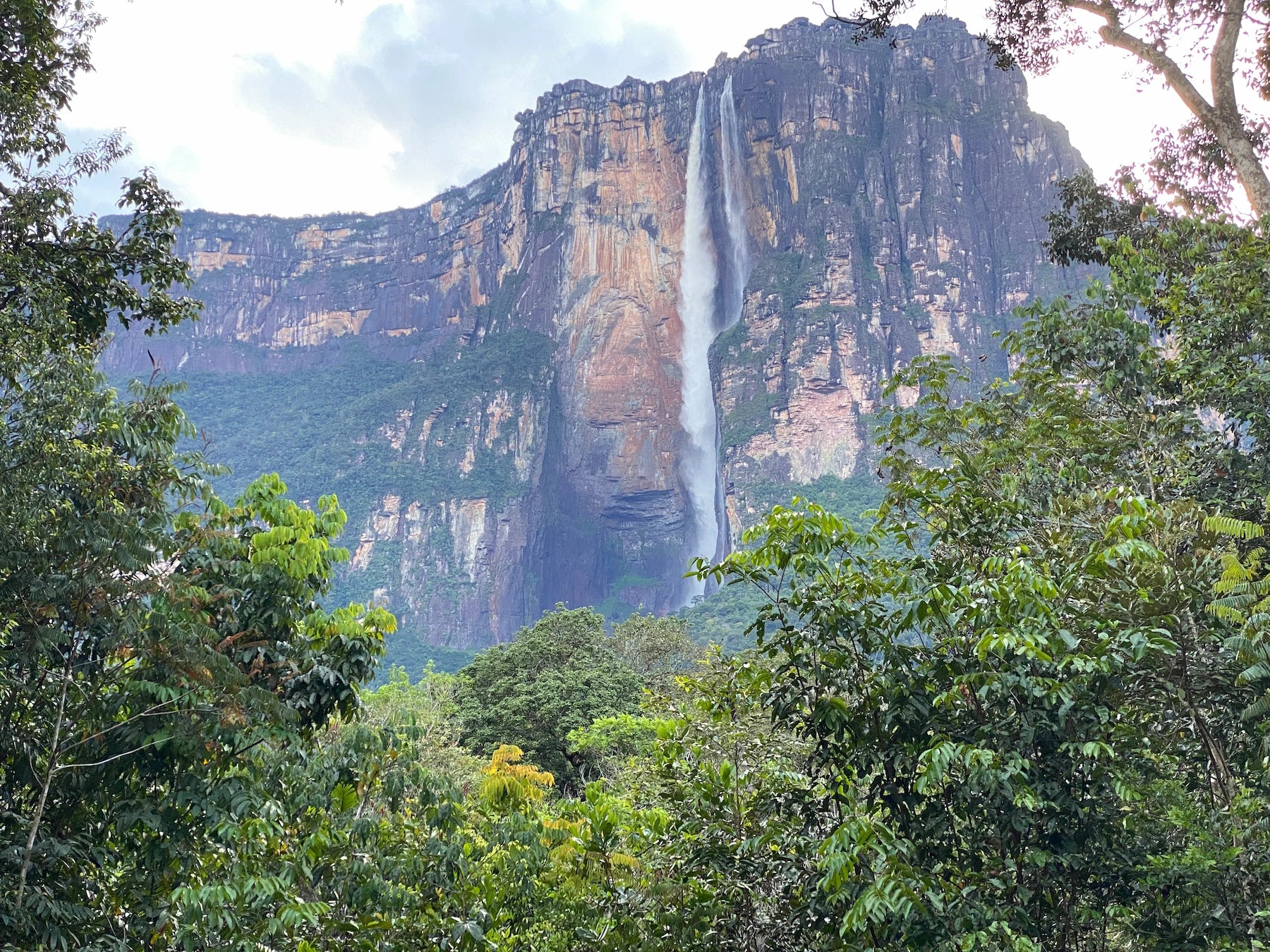 Der Salto Ángel stürzt über den Auyán-Tepui im Canaima-Nationalpark, Venezuela.