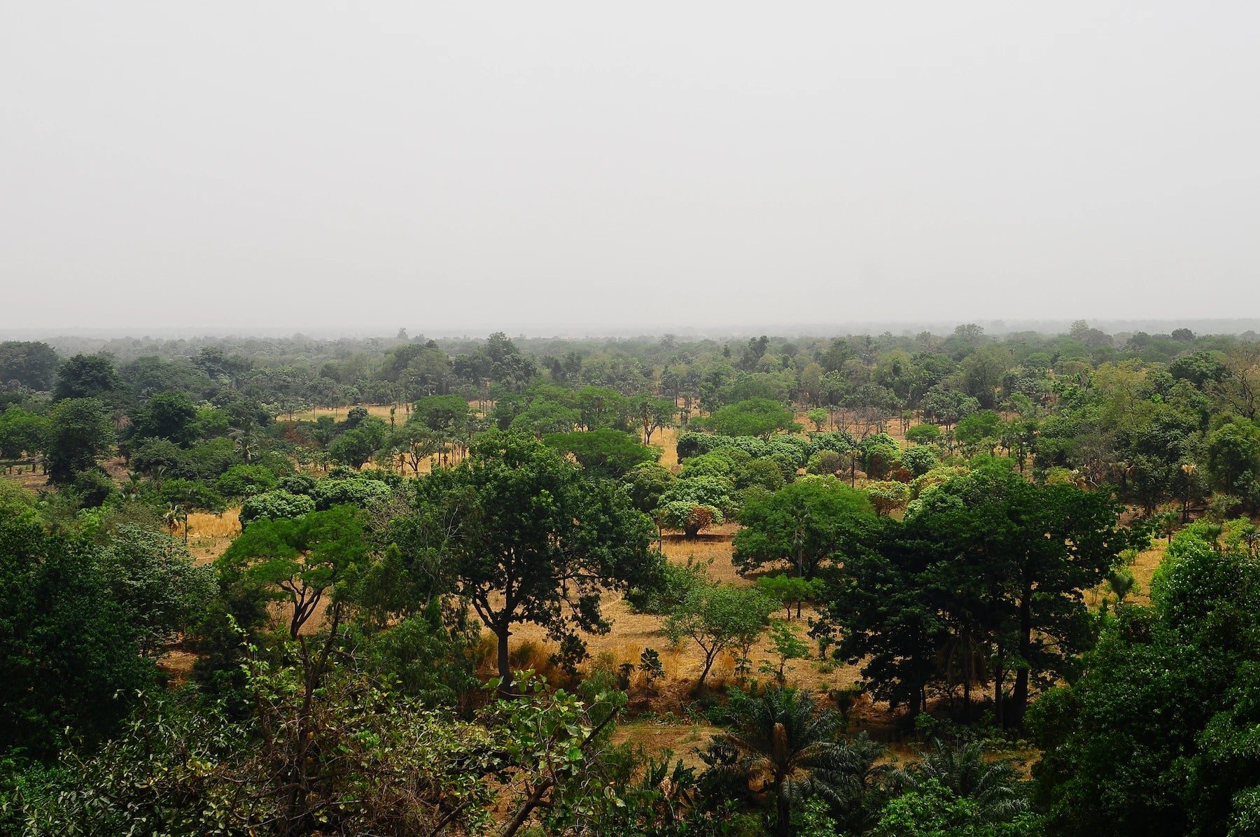 Landschaft in Burkina Faso.