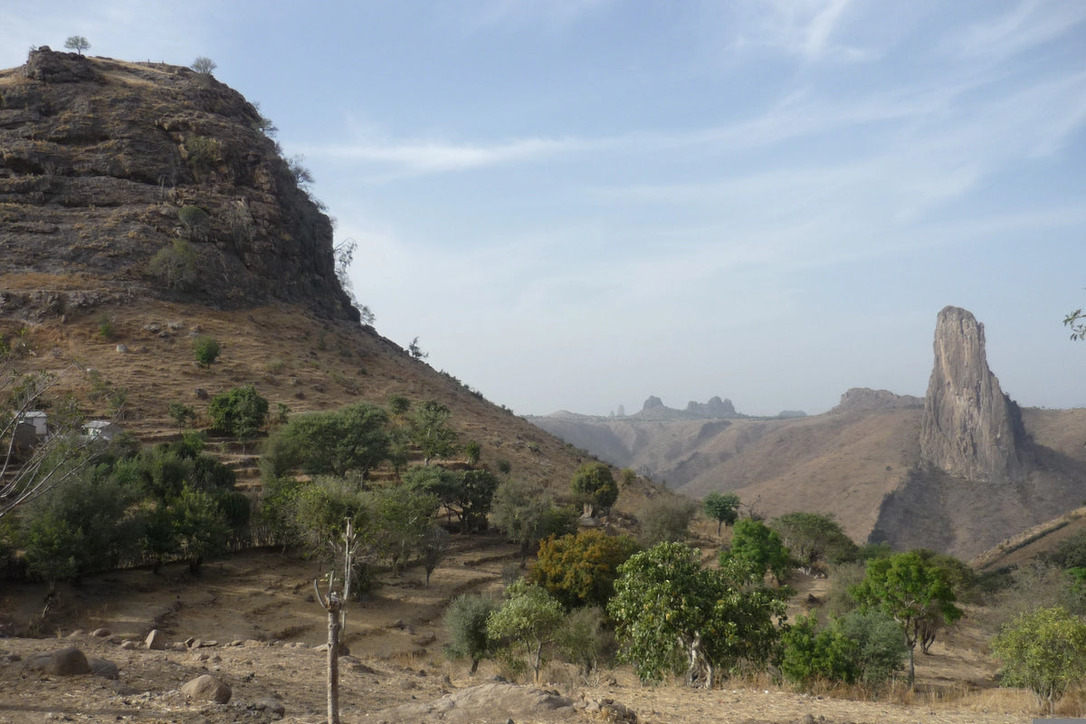 Dry, mountainous landscape in Cameroon featuring a prominent volcanic plug rock tower on the right and a terraced hill with green trees under a lightly clouded sky.