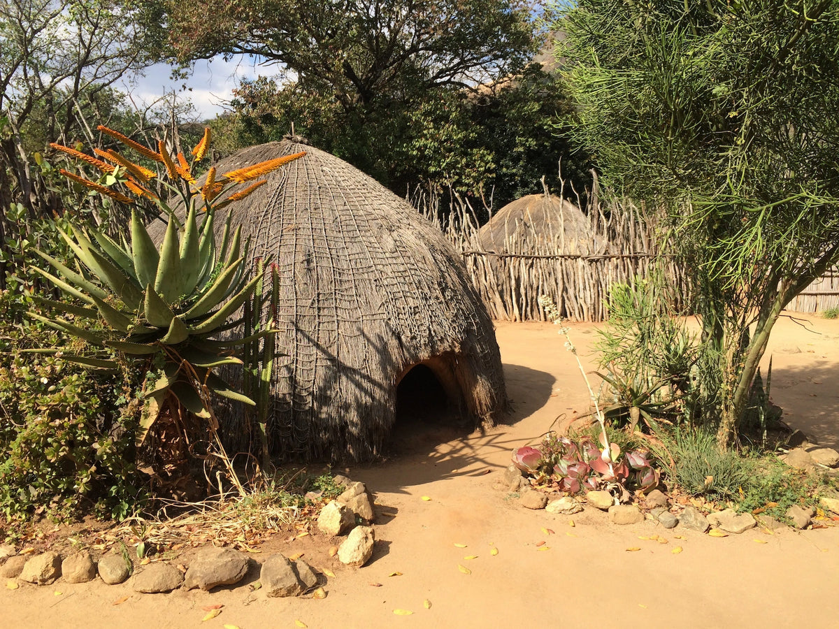 Eine traditionelle Bienenkorbhütte aus Gras in Eswatini, umgeben von Sandboden, einem Holzzaun und afrikanischen Pflanzen wie einer blühenden Aloe.