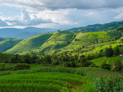 Nord-Thailand (Chiang Mai)