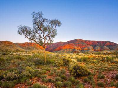 Australien (Red Centre/Outback)