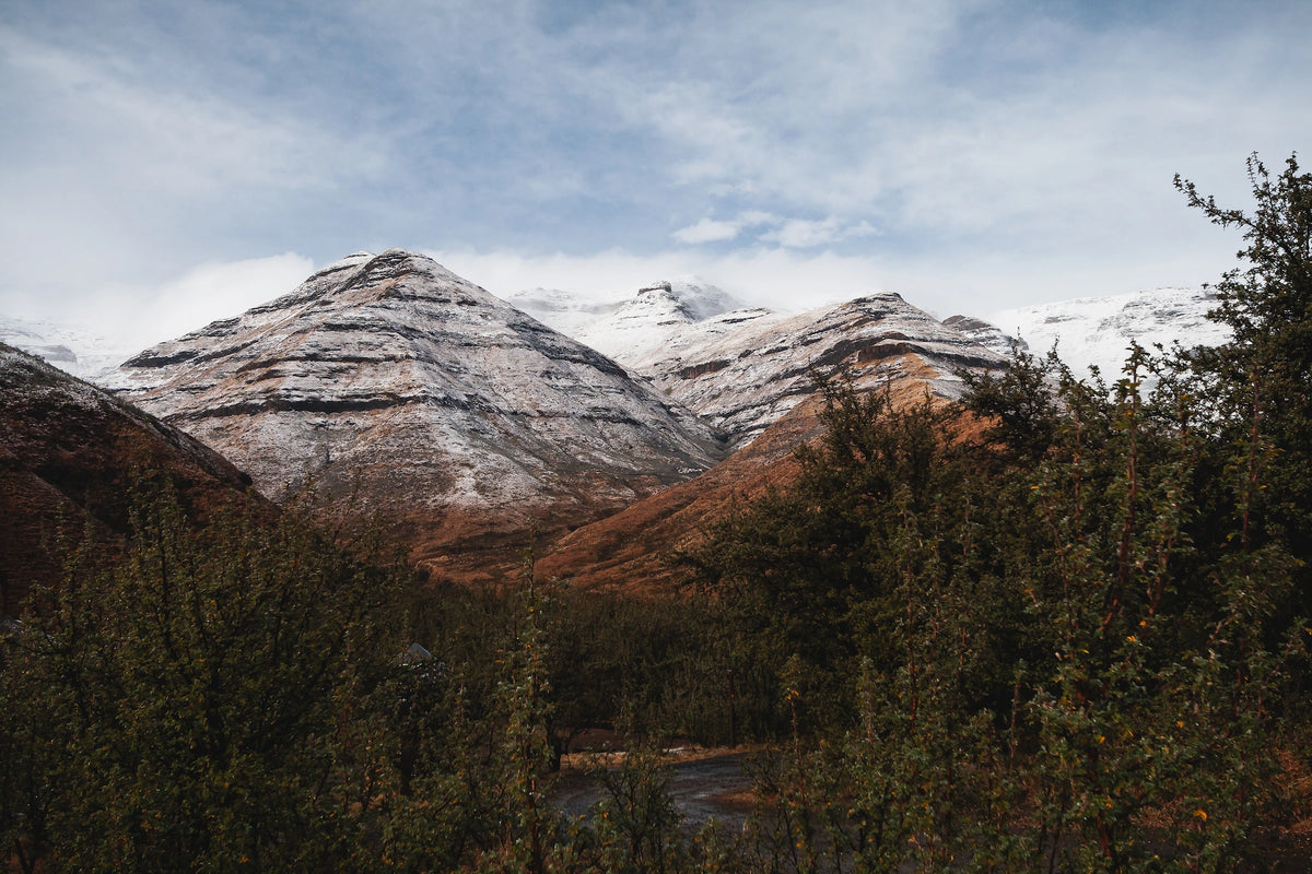 Verschneite Bergspitzen unter wolkenverhangenem Himmel im Tsehlanyane-Nationalpark in Lesotho, eingerahmt von grünen Sträuchern im Vordergrund.