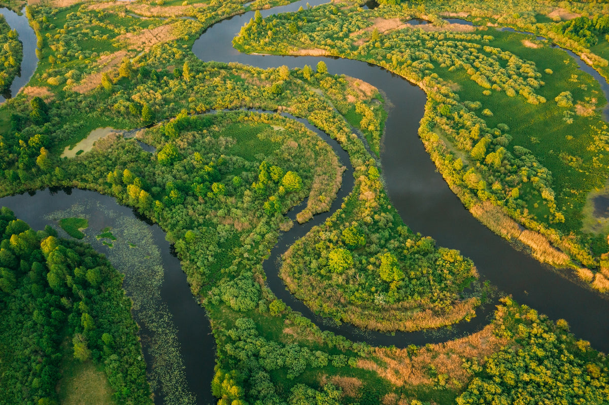Vogelperspektive auf einen sich stark schlängelnden Fluss, der durch saftig grüne Wiesen und Auenwälder in der Naturregion Belarus meandriert.