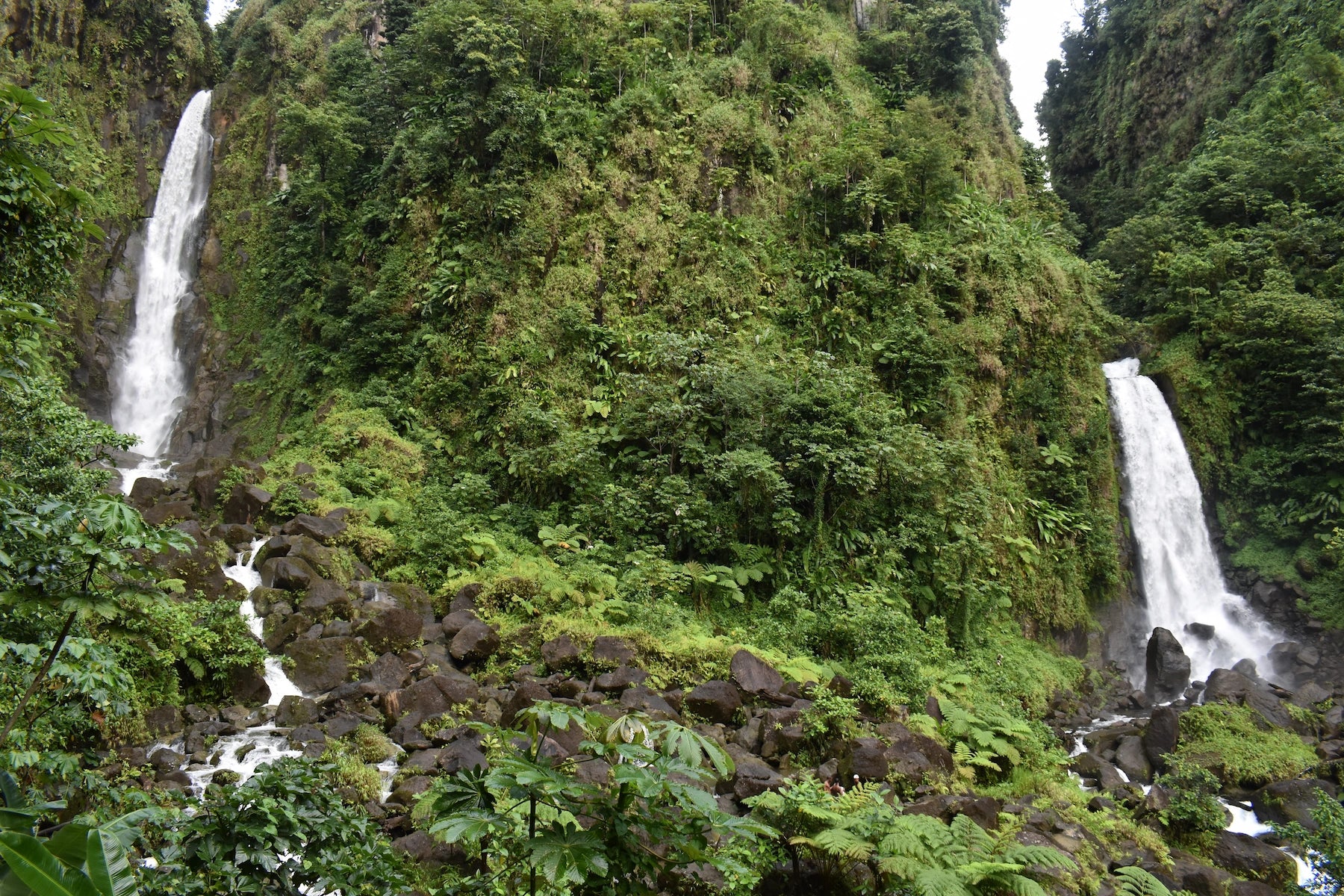 Die Trafalgar-Zwillingswasserfälle im Regenwald von Dominica.